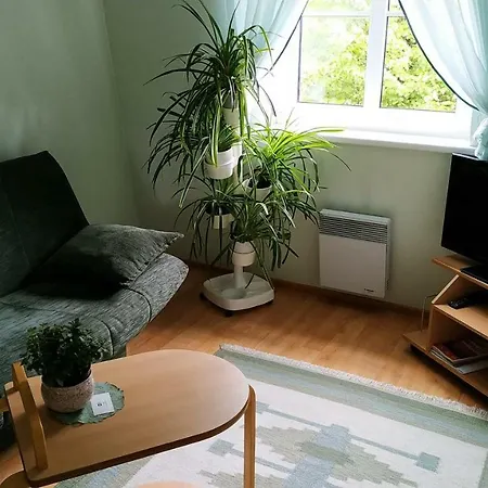 Casa de hóspedes Netti Center Pärnu